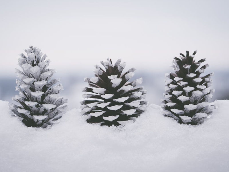 Ойрын 10 хоногт цаг агаар ямар байх вэ